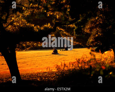 Zwei japanische Männer sitzen auf dem Rasen im Meiji-Schrein-Park am Abend, Tokyo, Japan Stockfoto