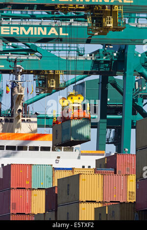 Containerschiff am MSC Home Terminal im Hafen von Antwerpen, Belgien entladen wird. Stockfoto