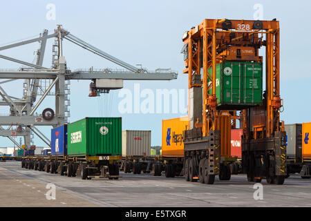 Mobile Container Spreader in Aktion auf einem Containerterminal in Rotterdam. Stockfoto