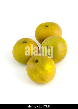 Apfel, Egremont Russet Stockfoto