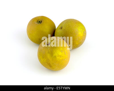 Egremont Russet Stockfoto