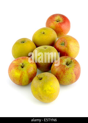 Englische Äpfel, Egremont Russet und Cox Stockfoto