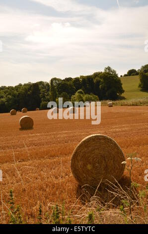 Sommer Heuernte in Sussex, England. Stockfoto