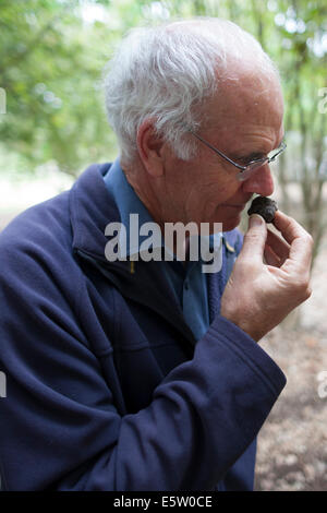 Ein Mann riechen das einzigartige Aroma von schwarzen Perigold Trüffel Stockfoto