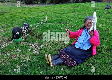 Wolle in Cruzpata - CHACHAPOYAS Spinnen. Abteilung von Amazonas. Peru Stockfoto