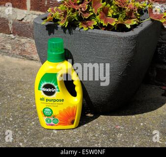 Wunder wachsen alle Zweck konzentrierte flüssige Pflanzennahrung Stockfoto