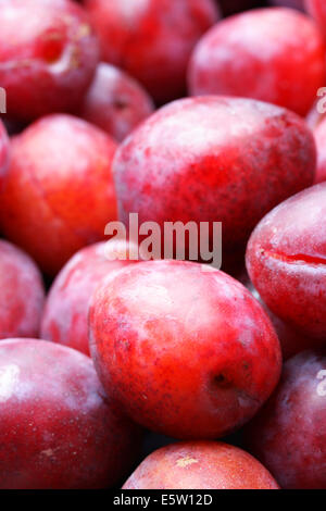 Viele rote reife Pflaumen Nahaufnahme. Flachen DOF! Stockfoto