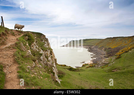 Großbritannien, Wales, Swansea, Gower, Rhossili, Swansea Bay Küste im Herbst Bay Stockfoto