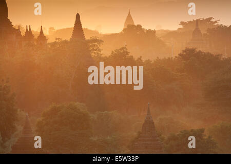 Warmen Abendlicht taucht die Zentralebene der alten buddhistischen Tempel in Bagan, Birma (Myanmar) Stockfoto