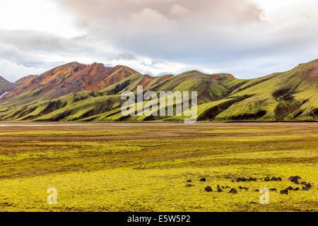 Landmannalaugar Stockfoto