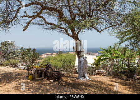 Obststand von alten Maschinen, Goree Insel UNESCO-Website vor Dakar, Senegal Stockfoto