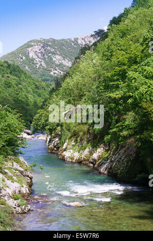 Der Río kümmert sich Tal in der Nähe von Arenas de Cabrales, Asturien, Nordspanien, Europa Stockfoto