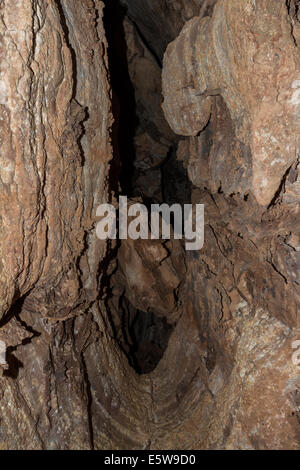 Rock und mineralische Formationen im Inneren Wind cave, im Wind-Höhle-Nationalpark, South Dakota Stockfoto