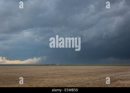 Ein Tornado warnte Superzelle Gewitter über die Prärie Colorados Rollen produzieren verschiedene Unwetter Stockfoto