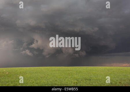 Ein Tornado warnte Superzelle Gewitter über die Prärie Colorados Rollen produzieren verschiedene Unwetter Stockfoto