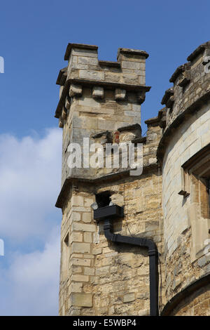 Türmen Turm der alten Grafschaft Gaol - Buckingham Museum und Tourist Information Centre England UK Stockfoto