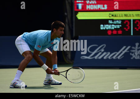 Toronto, Kanada. 6. August 2014. Novak Djokovic Serbien macht sich bereit, einen Aufschlag von Gael Monfils Frankreichs während des Rogers Cup im Rexall Zentrum am 6. August 2014 in Toronto, Ontario, Kanada zurückzukehren. Bildnachweis: Julian Avram/Alamy Live-Nachrichten Stockfoto