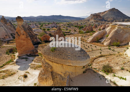 Feenkamine, Kalktuff-Formationen, Tal der Mönche, Pasabagi, Göreme, Kappadokien, zentrale Anatolia Nationalparkregion Stockfoto