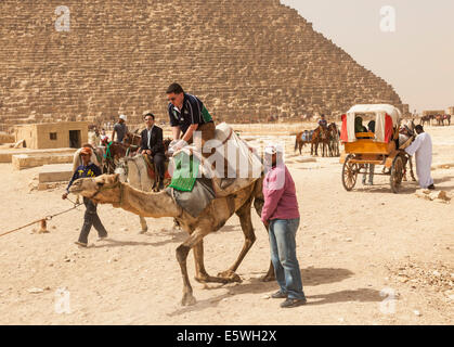 Pyramiden, Ägypten - Touristen auf einem Kamel mit Pferd und Wagen warten auf Touristen durch die große Pyramide von Gizeh Stockfoto