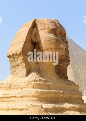 Die Sphinx von den Pyramiden von Gizeh in Kairo mit den Pyramiden im Hintergrund Stockfoto