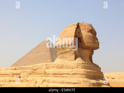 Die Sphinx von den Pyramiden von Gizeh in Kairo mit den Pyramiden im Hintergrund Stockfoto