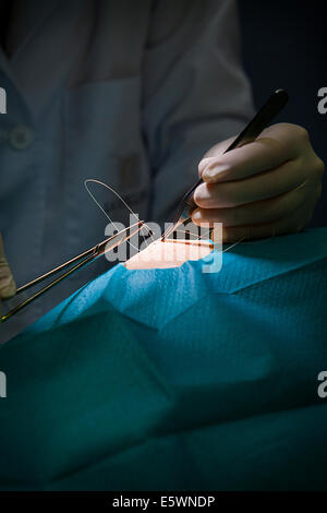 Dermatologische Chirurgie Stockfoto