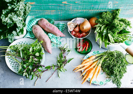 Stillleben mit frischer Minze, Süßkartoffeln, Karotten, Chilis, Zwiebeln, Knoblauch, Eschallots, grüne Bohnen, Grünkohl und silverbeet Stockfoto