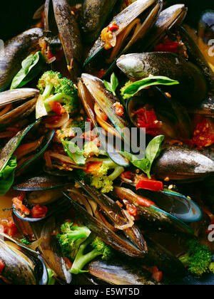 Nahaufnahme von Muscheln mit Broccoli in Tomatensauce Stockfoto