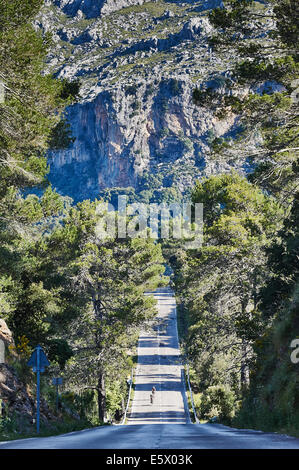 Straße durch Berge, Mallorca, Spanien Stockfoto