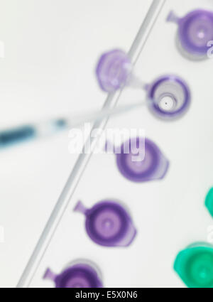 Pipettieren DNA-Probe in Mikrozentrifugenröhrchen Stockfoto