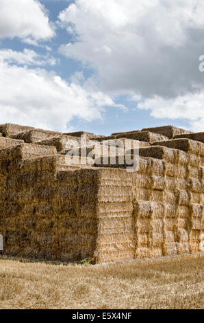 eine Wand aus Heuballen gegen Himmel Stockfoto