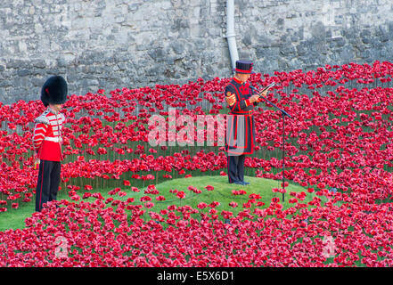 Keramik Mohn beginnen, den Graben an der Tower of London am Jahrestag des Beginns des ersten Weltkriegs zu füllen. Stockfoto