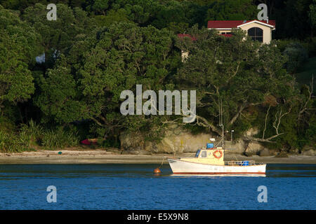 Mercury Bay liegt an der Ostküste der Coromandel-Halbinsel auf der Nordinsel von Neuseeland. Stockfoto