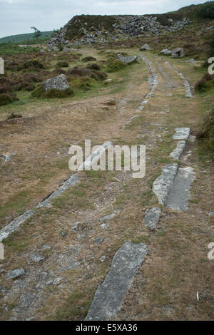 Alte Granit-Eisenbahn, Haytor, Dartmoor, Devon, England. Überreste von Granit tracks Stockfoto