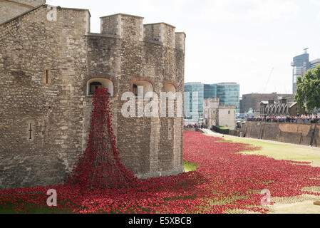 Keramik Mohn bluten aus einer Bastion-Fenster an der Tower of London. Im Gedenken an die im 1. Weltkrieg gefallenen Soldaten Stockfoto