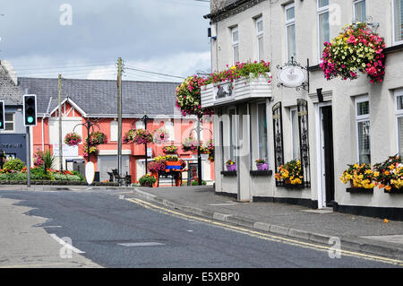 Ballymena, Nordirland. 7. August 2014 - Dorf Ahoghill mit vielen Blumen zeigt Credit: Stephen Barnes/Alamy Live News Stockfoto