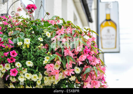 Ballymena, Nordirland. 7. August 2014 - Blütenpracht vor dem Pub im Dorf Ahoghill Credit: Stephen Barnes/Alamy Live News Stockfoto