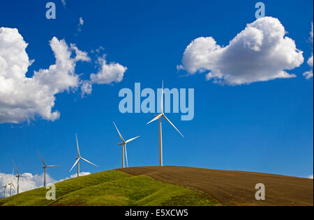 Ein Windpark mit riesigen Windkraftanlagen in der abgelegenen Region Palouse Empire, eine Landwirtschaft und Weizen wachsenden Region mit sanften Hügeln im östlichen Washington. Stockfoto