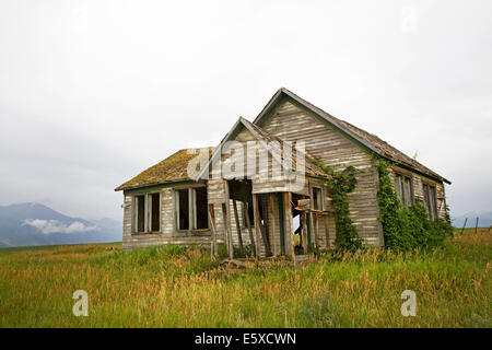 Einem alten verlassenen Bauernhaus auf einer Weizenfarm im Swan Valley des östlichen Idaho. Stockfoto