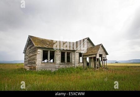 Einem alten verlassenen Bauernhaus auf einer Weizenfarm im Swan Valley des östlichen Idaho. Stockfoto