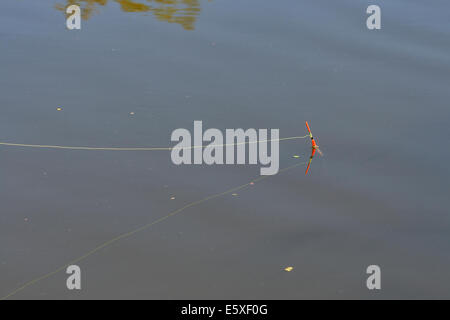 Angelrute Schwimmer im Wasser Stockfoto