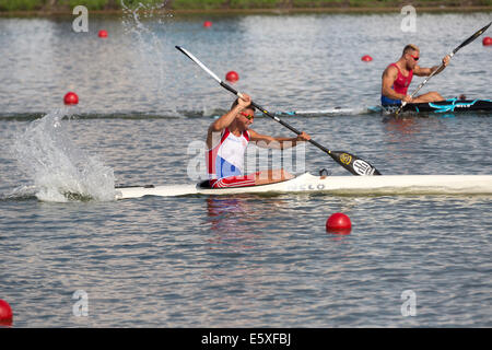 Moskau, Russland. 6. August 2014. Ersten Tag des ICF Canoe Sprint World Championships am Rudern Kanal in Krylatskoye, Moskau Credit: Nikolay Vinokurov/Alamy Live News Stockfoto