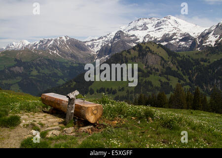 Wassertrog in einer Almwiese in den Schweizer Alpen Stockfoto