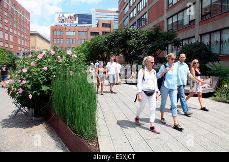 Die High Line, ein Meile langen linearen Park auf das, was war der Hochbahn, bekannt als die West Side-Linie. Stockfoto