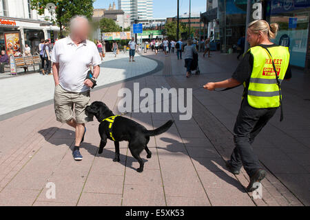 Cardiff, UK. 7. August, erkennt 2014.Drug Hund Fletcher von Carol-Ann Cotterill von Co.Durham, behandelt ein "teilnehmenden Fluggesellschaft". Malpeet K9 Academy von Bridgend, Wales - einer von Großbritanniens führenden Spezialisten bei der Verwendung von operativen Hundeteams zur Detektion von Sprengstoffen und Drogen - trainieren Hunde in Queen Street live Drogen durchgeführten Malpeet K9 Academy-Teilnehmer zu erkennen. Wenn ein Hund richtig Drogen erkennt wird es sofort mit einem Spiel mit einem Tennisball an einer Schnur belohnt. Viele Auszubildende Hundeführer sind militärische Personal Umsiedlung in das zivile Leben Credit: Graham M. Lawrence/Alamy Li Stockfoto