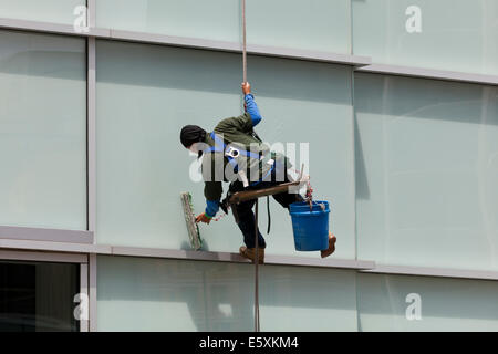 Hochhaus Fenster Reiniger sitzen in einem Bootsmann Stuhl - USA Stockfoto