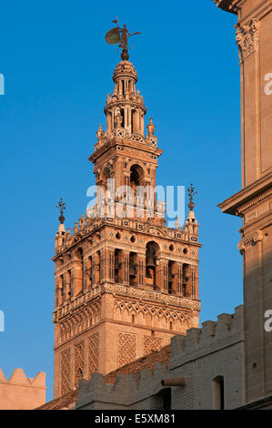 Giralda Turm, Kathedrale, Sevilla, Region von Andalusien, Spanien, Europa Stockfoto