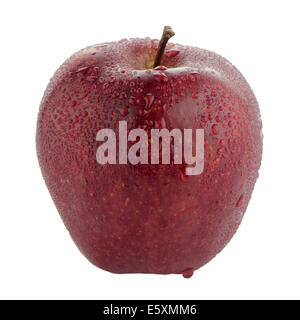 Roter Apfel isoliert auf weißem Hintergrund. Stockfoto