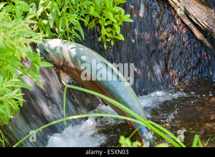 Oregon, Biegung, High Desert Museum, Fisch Bronze Skulptur Stockfoto