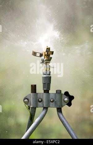 Regen Vogel einstellbar Messing Auswirkungen Rotorblatt die Kontaktaufnahme mit einem Wasserstrom aus der Sprinklerkopf Stockfoto